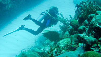 Scuba Diving Playa del Carmen
